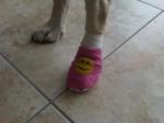 Abby's bandage